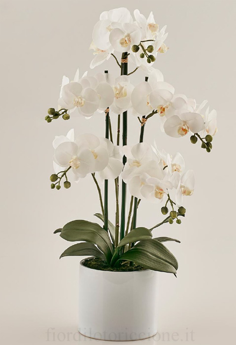 Vera Orchidea In Resina -  Italia