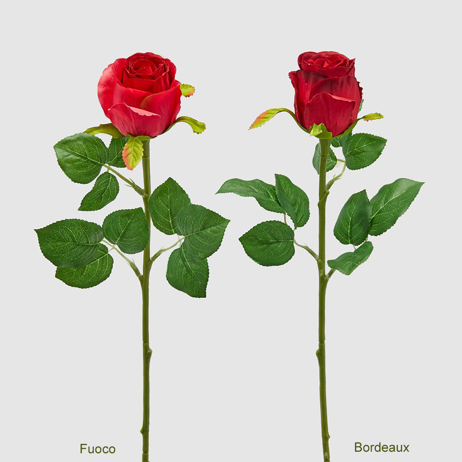 Rosa Rossa Baccarat  Fior di Loto Riccione