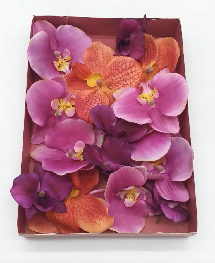 Scatola di Orchidee Decorative - Scegli il Colore