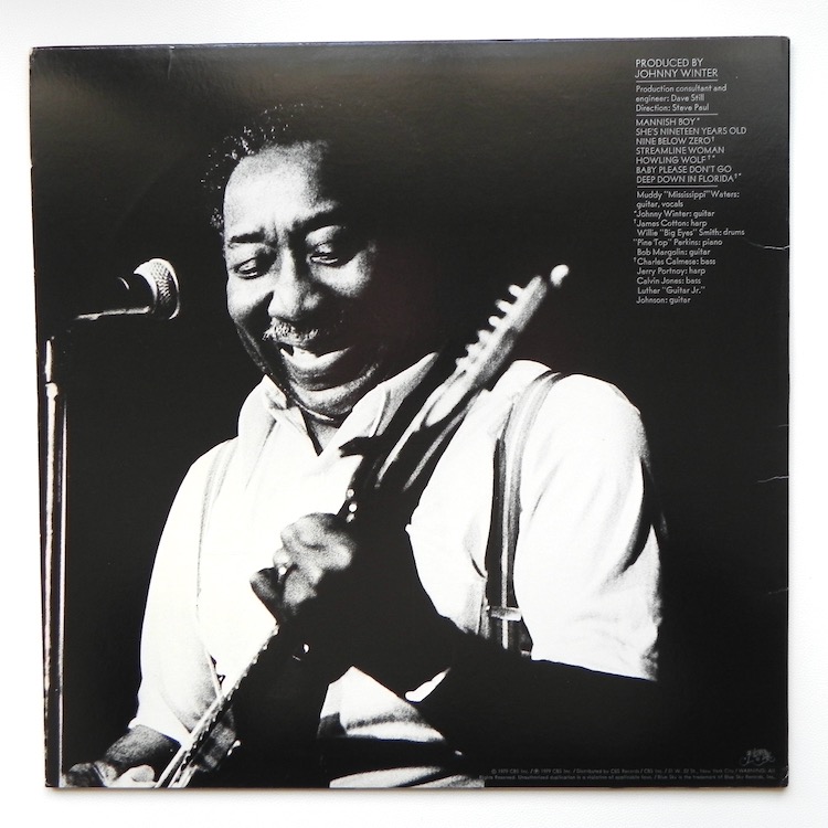 Vendita online Muddy Mississippi Waters - Live / Muddy Waters -- LP 33 ...