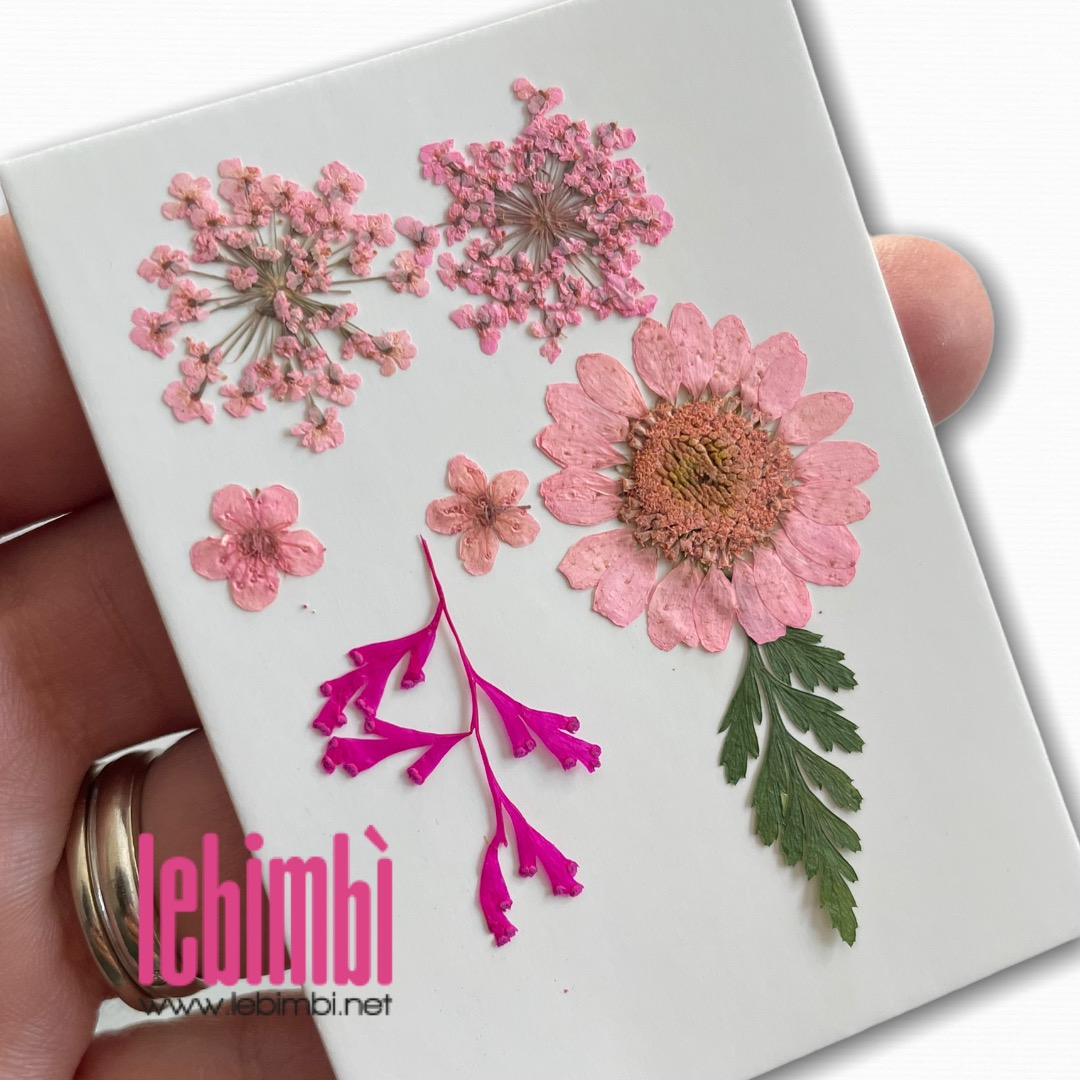 Fiori secchi - mini confezione 7 pezzi - rosa Online