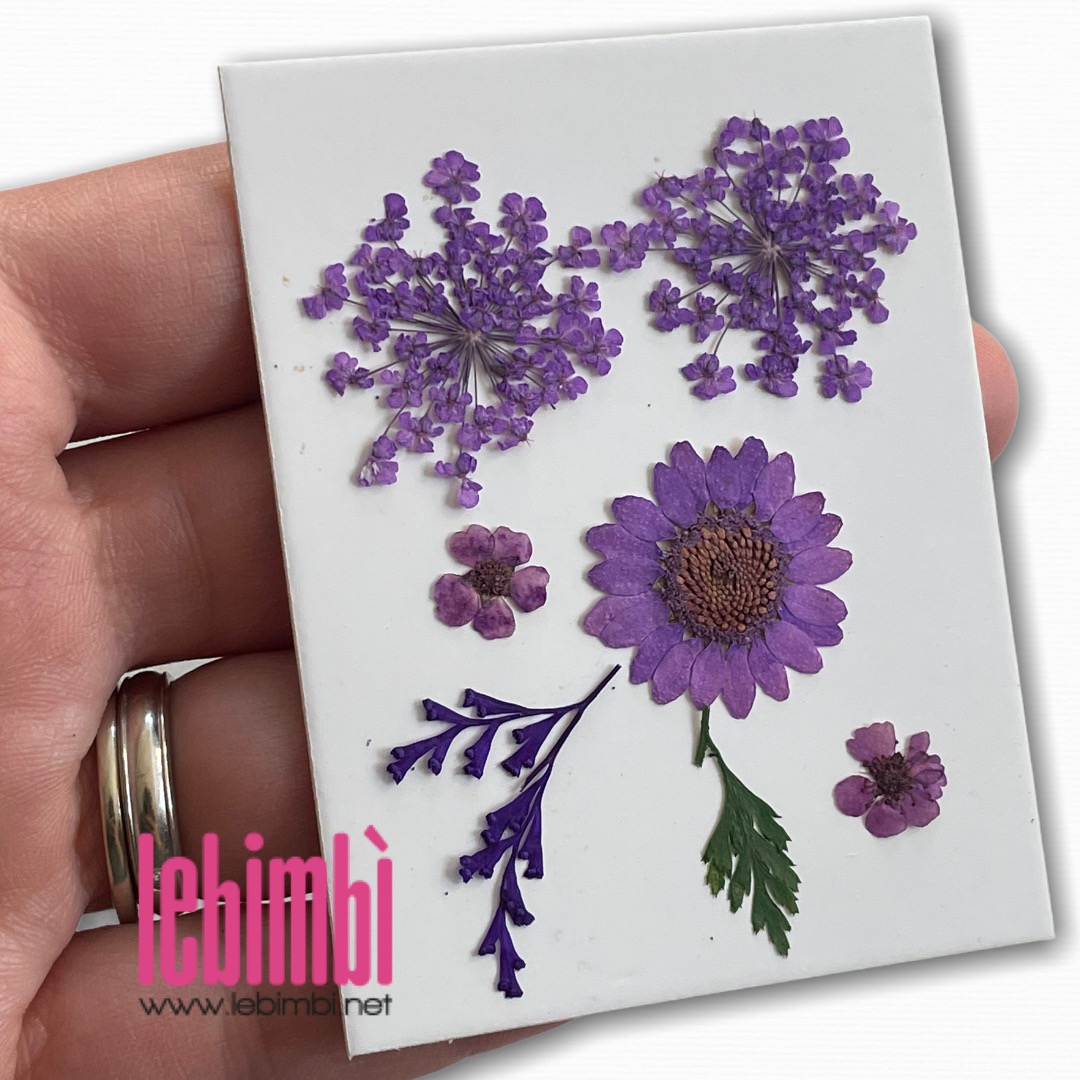 Fiori secchi - mini confezione 7 pezzi - rosa Online