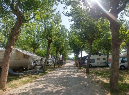 IT'S PROMO TIME &quot; ARRIVA L'ESTATE&quot; - ECO GREEN CAMPING