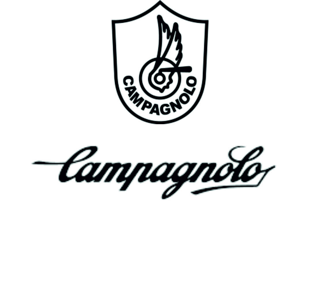 Campagnolo Campagnolo Prodotti Speciali vintage frame decal adesivi autocollant ステッ 
