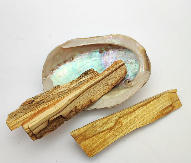 Conchiglia abalone haliotis midae con palo santo - set fumigazione Online