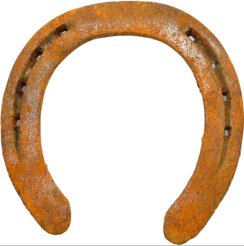 Amuleto ferro di cavallo (fortuna) 12 cm Online