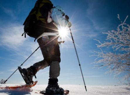 Bungalowangebot - Winter im Trentino