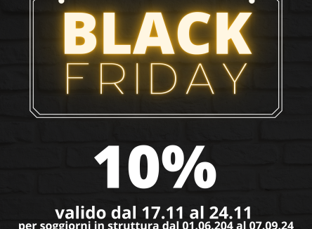 BLACK FRIDAY! 10%